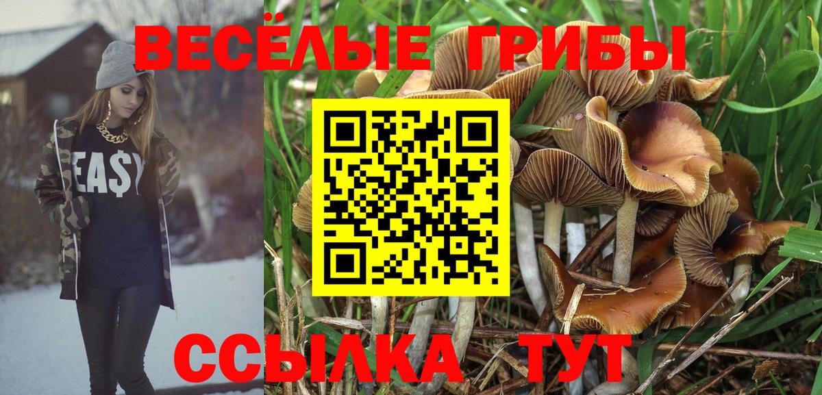 Киров  Галлюциногенные грибы MAGIC MUSHROOMS  Вход с VPN  Галлюциногенные грибы Psilocybe 